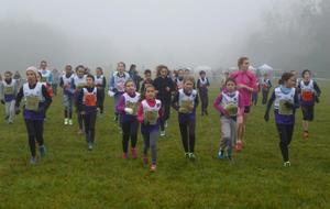 Une marée violette et verte sur le championnat départemental de cross