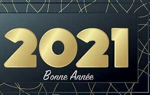 Bonne année!!!