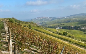 Sortie Forme et Saveurs : très belle expérience