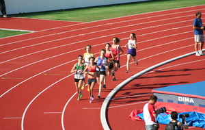 53b963546c00e_IMG0998.JPG