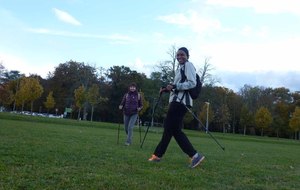 5468862147cd4_P1050738.jpg