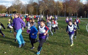 5830cf3d893f9_P1100625.jpg