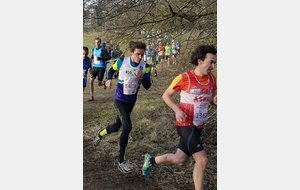 5895f5220efc1_20170122182932red.jpg
