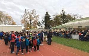 5ddc0213940aa_CrossAthlon11.JPG