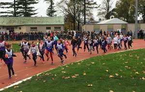 5ddc0213c9150_CrossAthlon10.JPG