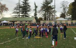 5ddc02140313c_CrossAthlon9.JPG