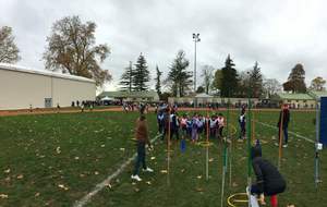 5ddc0214322a9_CrossAthlon8.JPG
