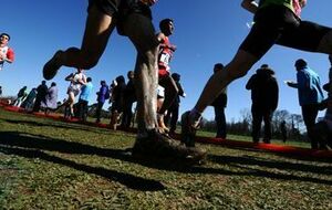 Pré-France de cross (sur qualification)