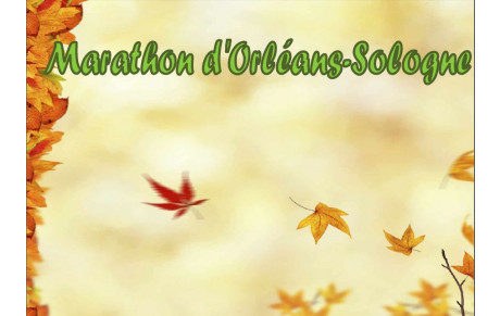Marathon d'Orléans-Sologne 2016