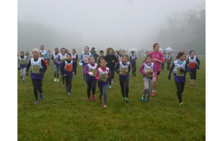 Une marée violette et verte sur le championnat départemental de cross