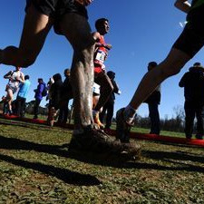 Régionaux de Cross